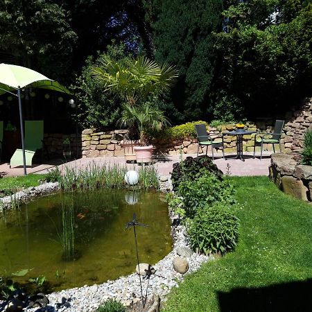 Ferienwohnung Trommblick - Natur Pur - Rimbach Im Odenwald Zewnętrze zdjęcie