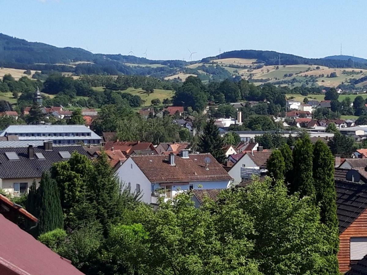 Ferienwohnung Trommblick - Natur Pur - Rimbach Im Odenwald Zewnętrze zdjęcie